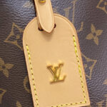 Louis Vuitton Carryall PM M46203 Brown